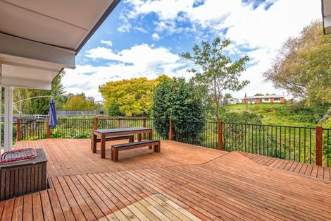 Photo of property in 28 Hammond Street, Marton, 4710