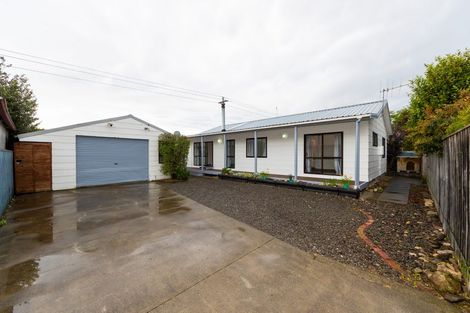 Photo of property in 1009 Reka Street, Akina, Hastings, 4122