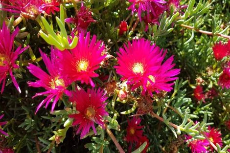 Photo of property in 6 Elley Drive, Carters Beach, Westport, 7825