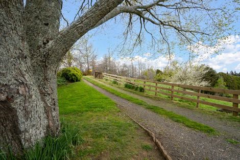 Photo of property in 11 Dunning Road, Karapiro, Cambridge, 3496