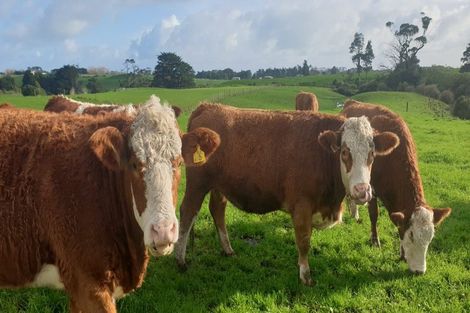 Photo of property in 412a Corbett Road, Lepperton, New Plymouth, 4373