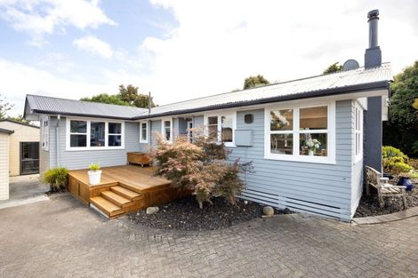 Photo of property in 109 Mahoe Street, Melville, Hamilton, 3206