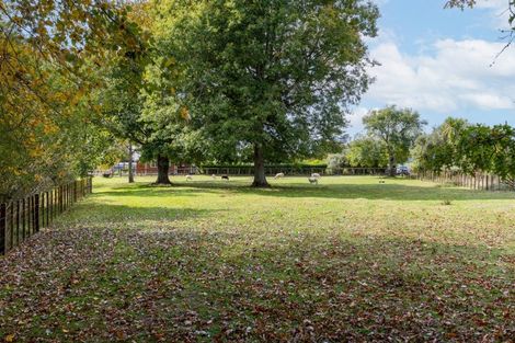 Photo of property in 192 Waotu Road, Putaruru, 3481