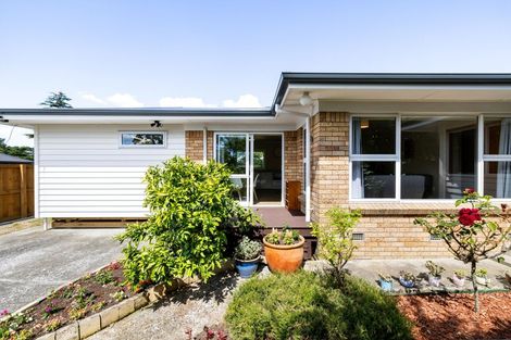 Photo of property in 19 Mabian Crescent, Deanwell, Hamilton, 3206