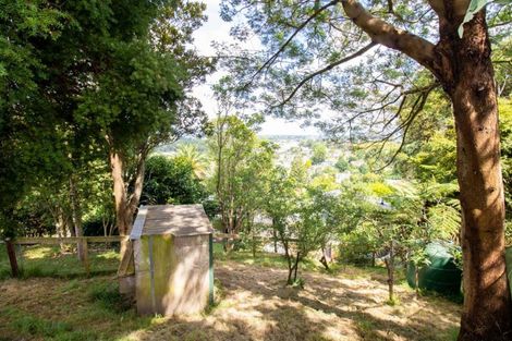 Photo of property in 49 Wood Street, Paeroa, 3600