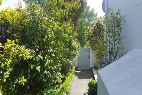 Photo of property in 38 Andover Street, Merivale, Christchurch, 8014