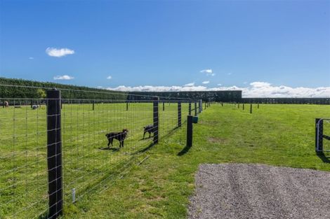 Photo of property in 273 Telegraph Road, Burnham, Christchurch, 7677