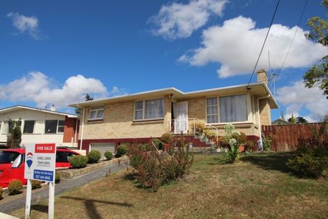 Photo of property in 22 Mcclure Street, Feilding, 4702