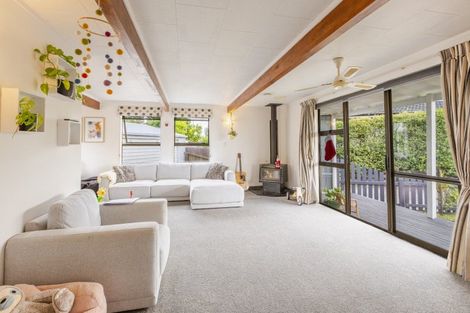 Photo of property in 54 Tavistock Road, Waipukurau, 4200