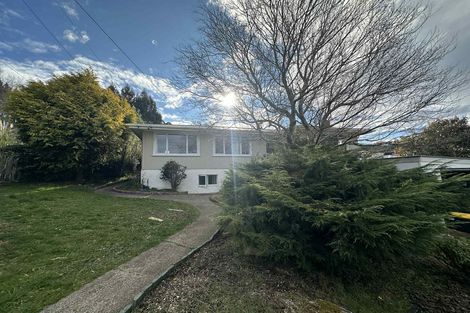 Photo of property in 28 Marshall Street, Bradford, Dunedin, 9011