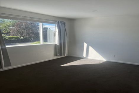 Photo of property in 146 Rossall Street, Merivale, Christchurch, 8014