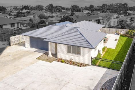 Photo of property in 29 Poynter Place, Gonville, Whanganui, 4501