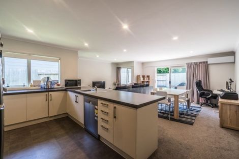 Photo of property in 205 College Street, West End, Palmerston North, 4412