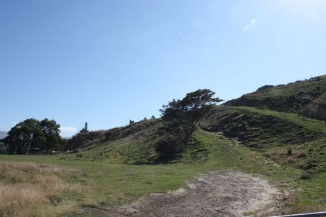 Photo of property in 290 Harington Point Road, Lower Portobello, Dunedin, 9077