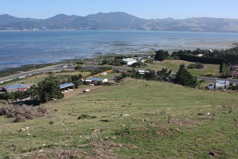 Photo of property in 290 Harington Point Road, Lower Portobello, Dunedin, 9077