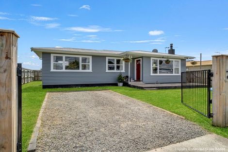 Photo of property in 17 Ferguson Street, Levin, 5510