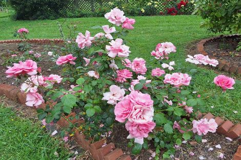 Photo of property in 917 Port Albert Road, Wellsford, 0973