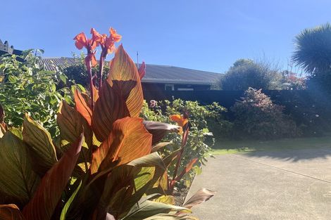 Photo of property in 55b Halswell Road, Hillmorton, Christchurch, 8025