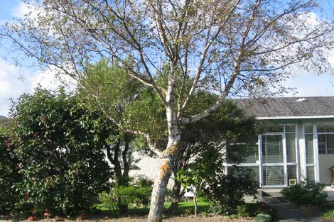 Photo of property in 12a Chesney Street, Avalon, Lower Hutt, 5011