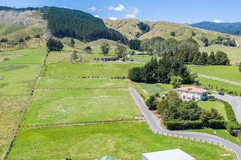 Photo of property in 51 Gladstone Road, Levin, 5571