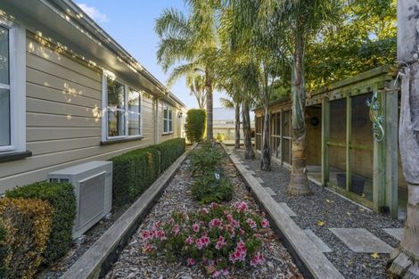 Photo of property in 105 Ferguson Street, West End, Palmerston North, 4412