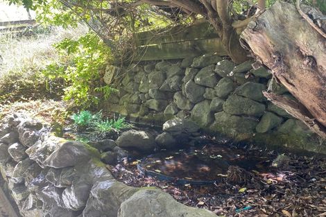 Photo of property in 61 Tarewa Road, Morningside, Whangarei, 0110