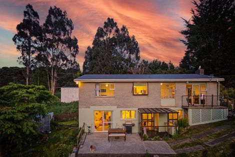 Photo of property in 19 Dalrymple Street, Pine Hill, Dunedin, 9010