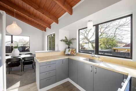 Photo of property in 8b Nelson Street, Hamilton East, Hamilton, 3216