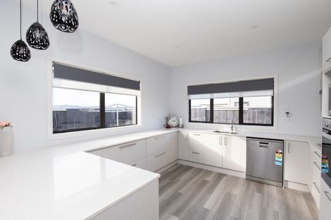 Photo of property in 22 Mcwatters Drive, Ngatea, 3503