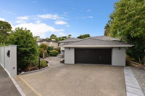 Photo of property in 14 Riverview Terrace, Fairfield, Hamilton, 3214