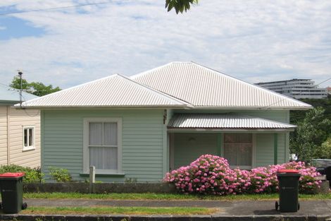 Photo of property in 47 Second Avenue, Kingsland, Auckland, 1021