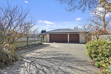 Photo of property in 41 Birchs Road, Prebbleton, 7604