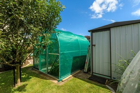 Photo of property in 14 Chelsea Court, Bethlehem, Tauranga, 3110