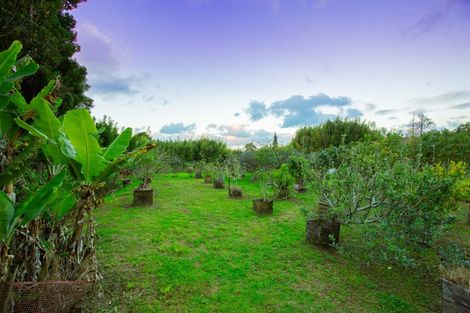 Photo of property in 847 West Coast Road, Oratia, Auckland, 0604