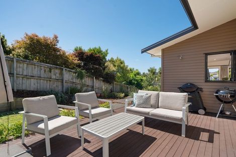 Photo of property in 6 Raukawa Drive, Bethlehem, Tauranga, 3110