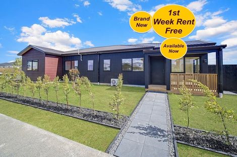 Photo of property in 1 Ngakau Road, Karaka, 2113