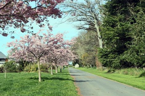 Photo of property in 24 Meadowlinks Lane, Pleasant Point, Timaru, 7974