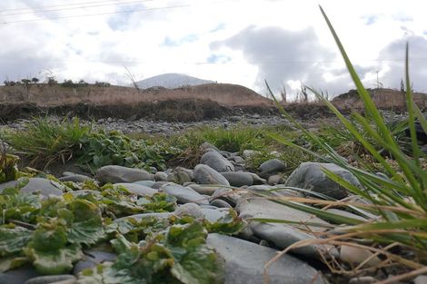 Photo of property in 23a Hythe Street, Athol, 9793