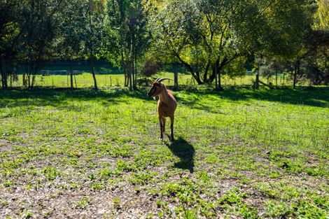 Photo of property in 63 Gibsons Road, Kaituna, Blenheim, 7273