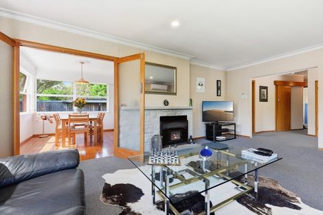 Photo of property in 386 Ulster Street, Beerescourt, Hamilton, 3200
