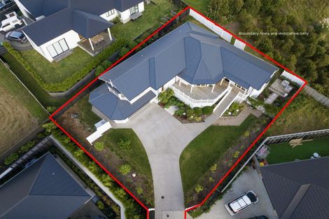 Photo of property in 56 Lisle Farm Drive, Pukekohe, 2120