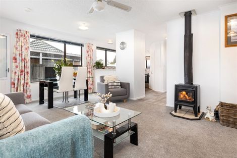 Photo of property in 48b Mclauchlan Street, Springlands, Blenheim, 7201