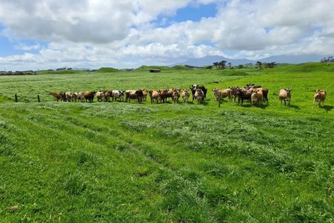 Photo of property in 6388 South Road, Pungarehu, Opunake, 4685