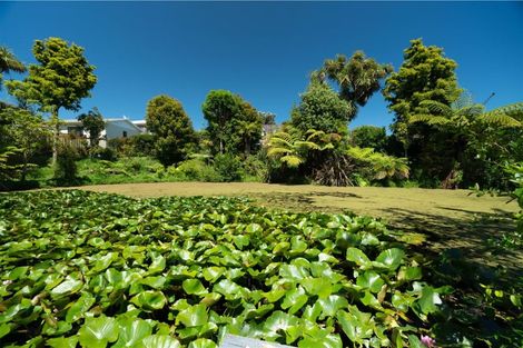 Photo of property in 43 Langdale Avenue, Paraparaumu, 5032