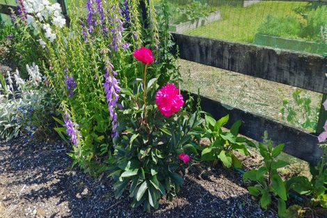 Photo of property in 36 Umuroa Street, Mamaku, 3020