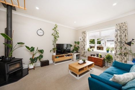 Photo of property in 95a Limbrick Street, Terrace End, Palmerston North, 4410