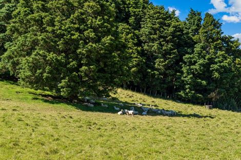 Photo of property in 75 Snooks Road, Maungatapere, Whangarei, 0179