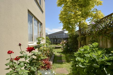 Photo of property in 29b Myres Street, Otumoetai, Tauranga, 3110