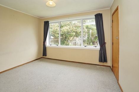 Photo of property in 88 Lewis Street, Glenview, Hamilton, 3206