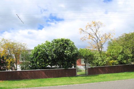 Photo of property in 50 Hinekura Avenue, Taupo, 3330